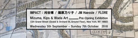 Mizuma, Kips & Wada Art | Opening of New York gallery space