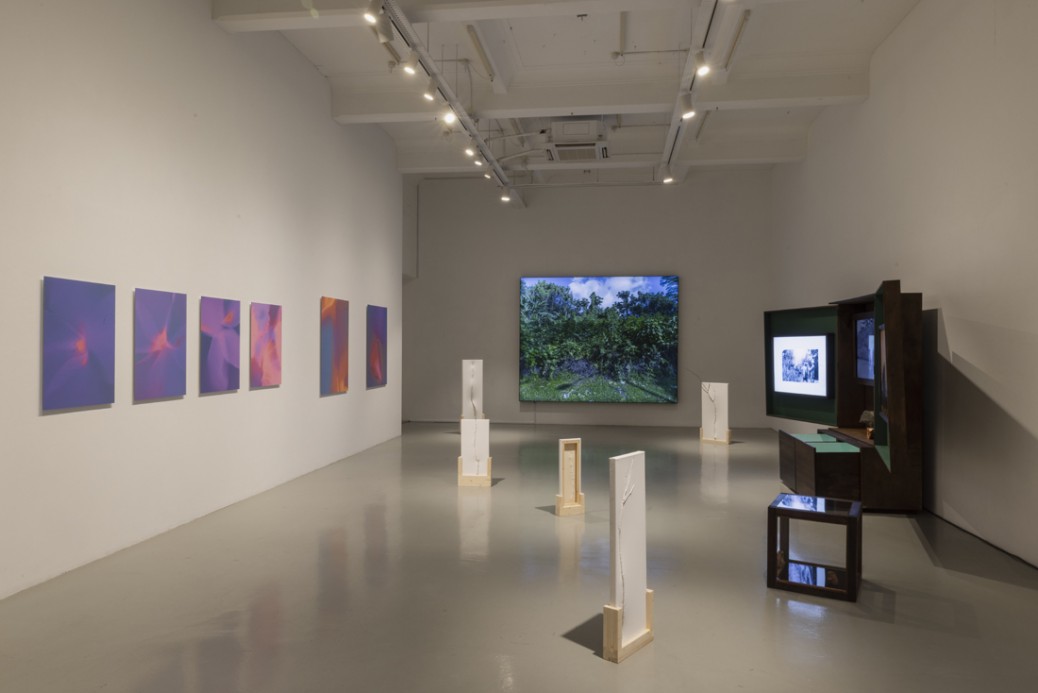 Exhibition view of 'Cuttings' at Mizuma Gallery Singapore, 2022. Photography by Marvin Tang, courtesy of Mizuma Gallery.