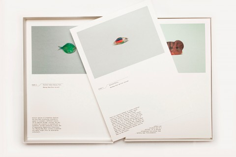 Four Singaporean Artists That Help Us Rethink Nature | CoBo Social