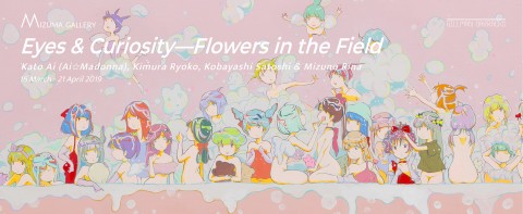 Eyes & Curiosity—Flowers in the Field