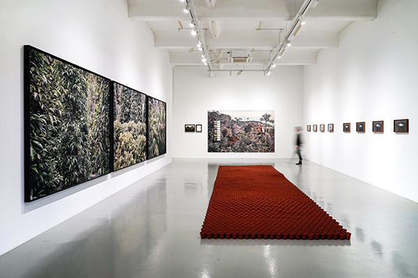 Exhibition View