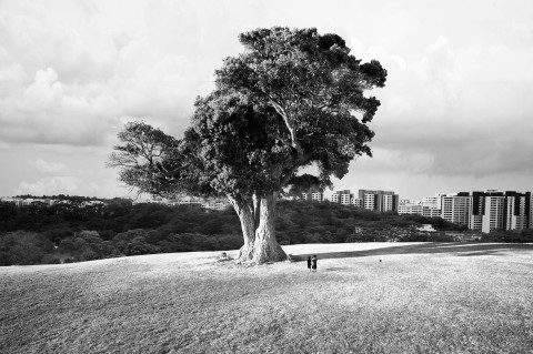 Singapore 1925–2025 | TODAY Online