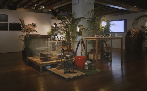 The Nature Museum: The Institute of Critical Zoologists | ArtAsiaPacific