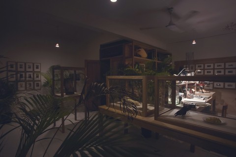 The Bizarre Honour: Robert Zhao Renhui | ArtAsiaPacific