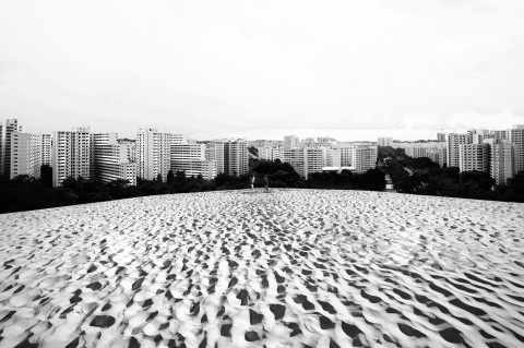 Singapore’s Robert Zhao Renhui and the Institute of Critical Zoologists – interview | Art Radar