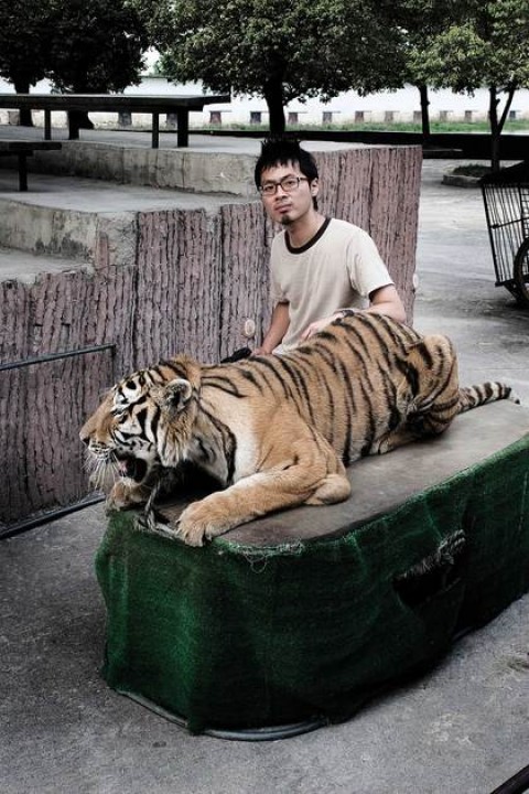 The Origin of Invented Species: Robert Zhao Renhui | ArtAsiaPacific