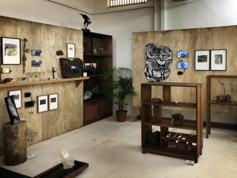 Curators’ art picks: Six works you don’t want to miss at the upcoming Singapore Biennale | The Straits Times