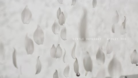 Artist Insight | Gentle Daylight