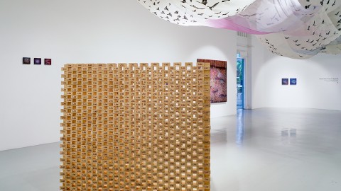 ARTIST TALK | Here We Are On Earth