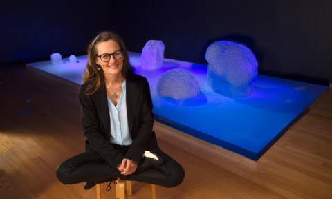 Art, science and a reef made of sugar: an exploration of climate change | The Guardian