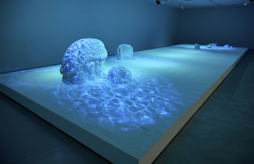 Sweet Barrier Reef (2009), sugar, icing sugar, polystyrene foam; 5 x 15 x 1.4 m. Photo by Ian Hobbs