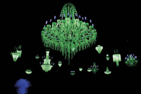 Eco-aesthetics: Ken + Julia Yonetani | Eyeline Publishing