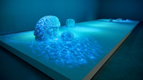 Environmental devastation and the power of microbes given artistic expression | Queensland University of Technology