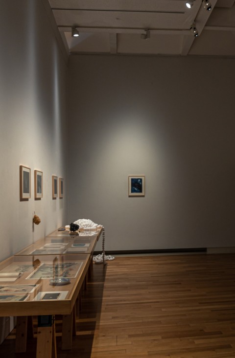 Perhaps, art begins with the fireflies, ancient bioluminiscence | Neural