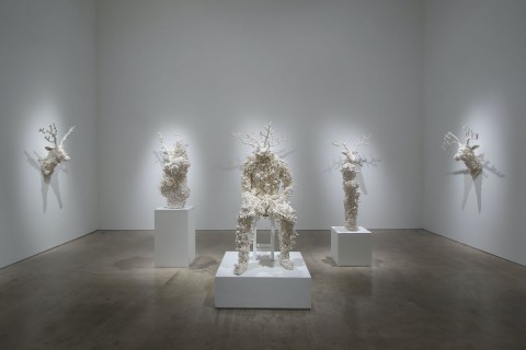 CASE02 Art in the Face of COVID-19 – Australia | Arts Council Tokyo