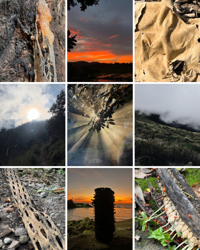 Reference images photographed by Gilang Fradika. 