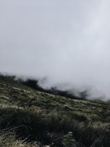 Reference image photographed by the artist.